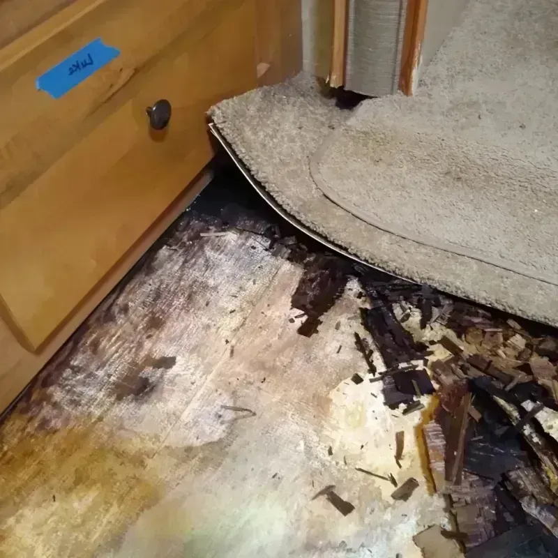 Wood Floor Water Damage in Blawnox, PA